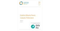 Analytics Maturity Powers Company Performance