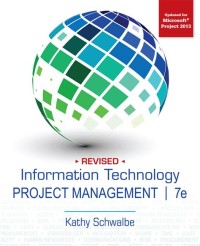 Information technology  project management