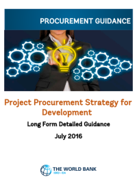 Project Procurement Strategy for Development