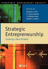 Image of Strategic Entrepreneurship